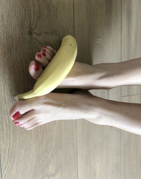 间谍过家家_DVD免费观看
